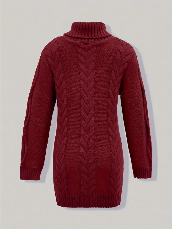 Ulalume™ – COZY CHUNKY CABLE TURTLENECK DRESS